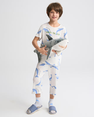 Aimer Kids Short-sleeve Tops Homewear Set For Boys