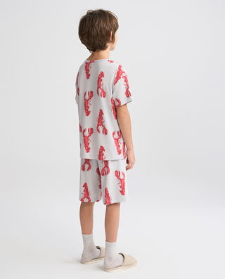 Aimer Kids Homewear Set For Boys