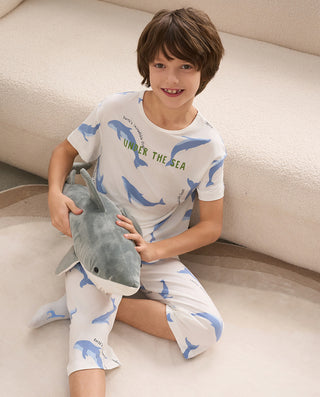 Aimer Kids Short-sleeve Tops Homewear Set For Boys