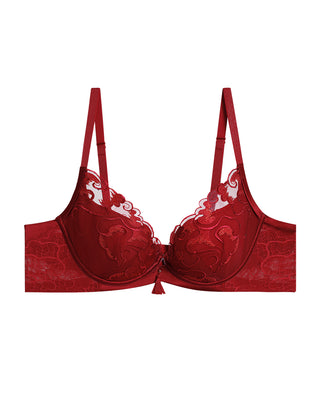 Aimer Red Lace Bra