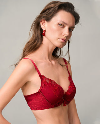 Aimer Red Lace Bra