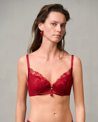 Aimer Red Lace Bra