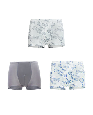 Aimer Kids 3 Packs Boyshorts For Boys