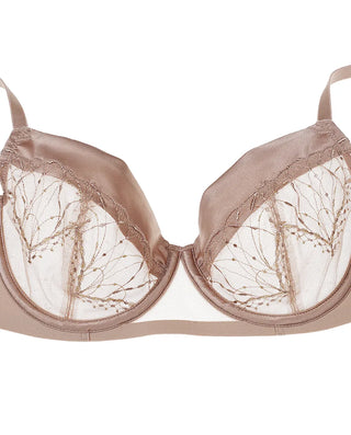 Aimer Lightly Lined Lace Bra