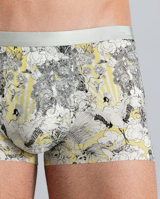 Aimer Men Premium Trunk