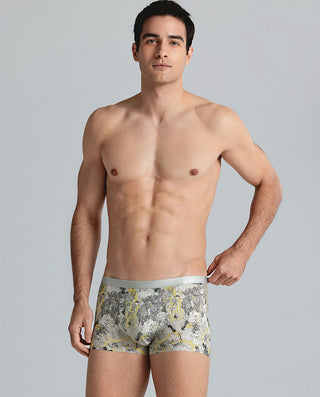 Aimer Men Premium Trunk