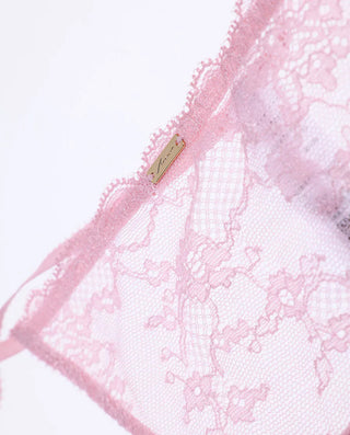 Aimer Delicate Lace V-String