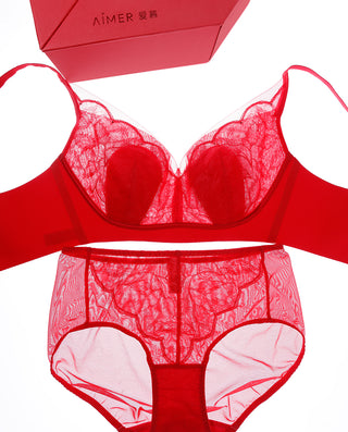 Aimer Wireless Bra & Panty Set with Storage Bag