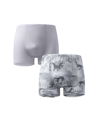 Aimer Kids Modal 2 Packs Boyshorts For Boys