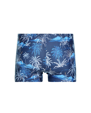 Aimer Men Print Swim Trunk