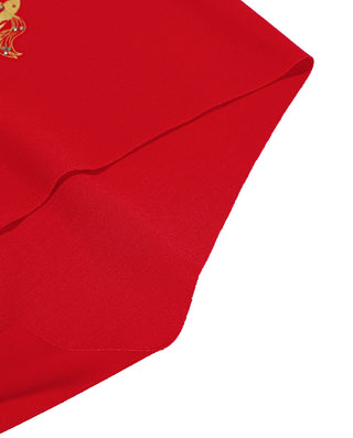 Aimer Men Lucky Red Trunk