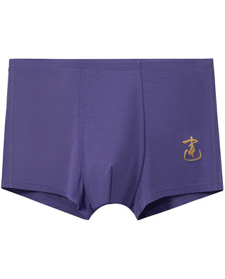 Aimer Kids 2 Packs Boys' Mid-rise Boyshorts