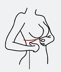 Measure bust size